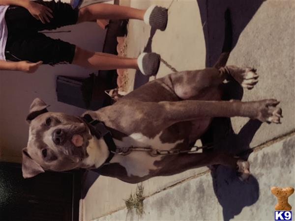 Dduntan@aol.com Picture 2